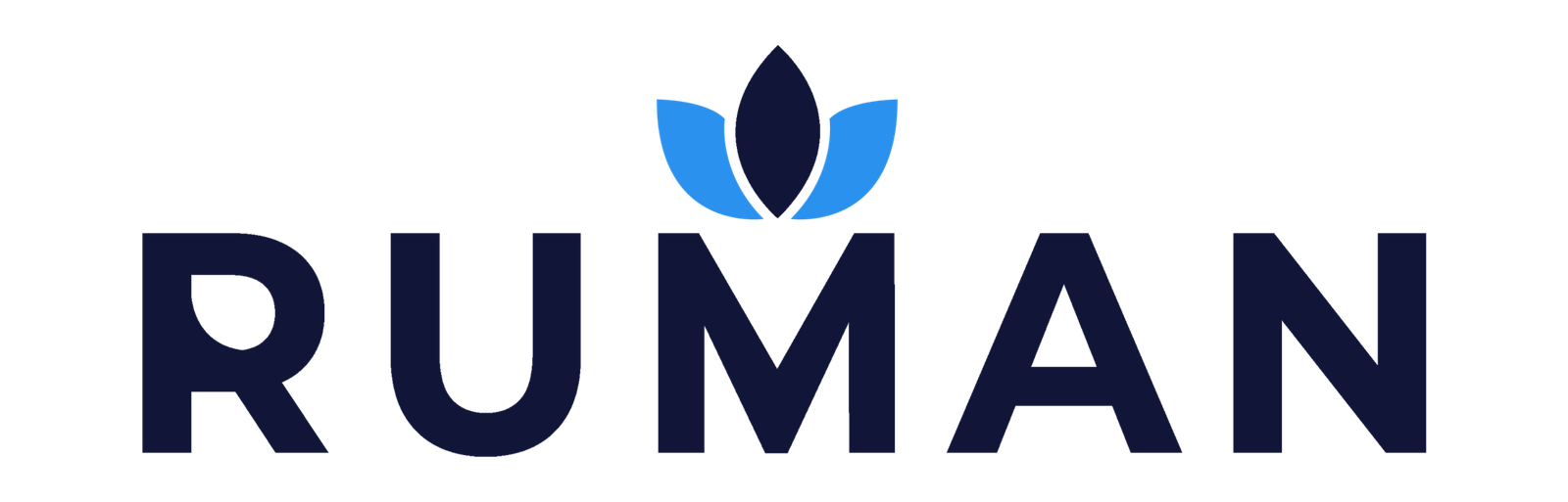 Ruman Electronics